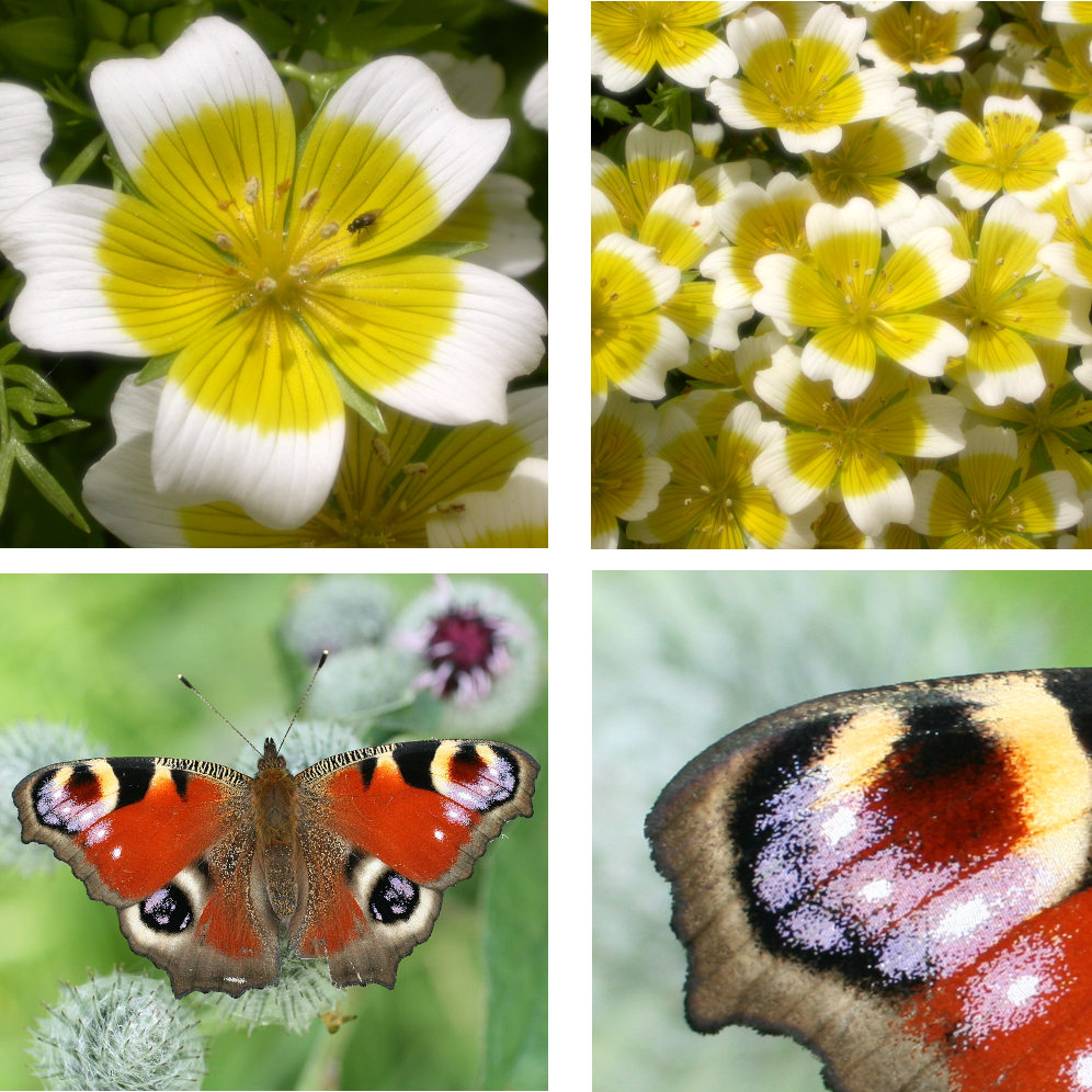 MemoryExtrem einfache Version